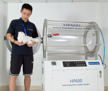 Cámara de Oxígeno Hiperbárica Veterinaria HP600 para Clínica Animal
