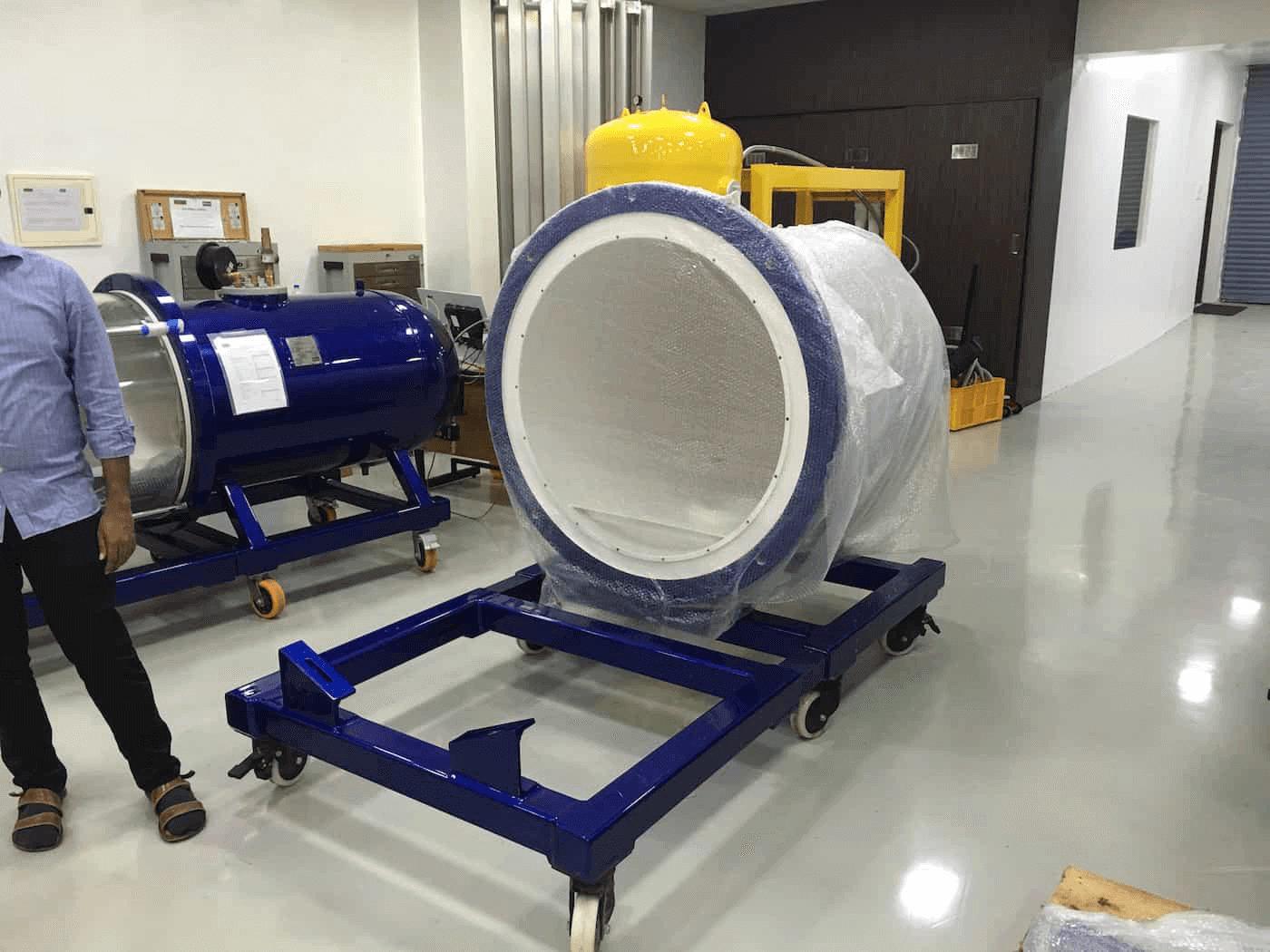 Veterinary Hyperbaric Oxygen Chamber