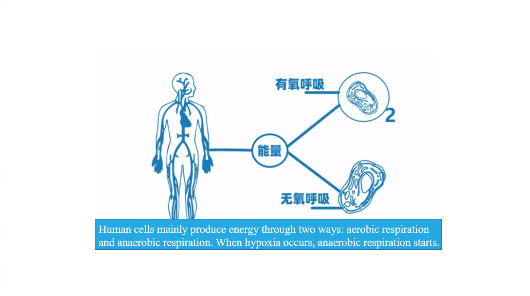 Cancer and Oxygen-2