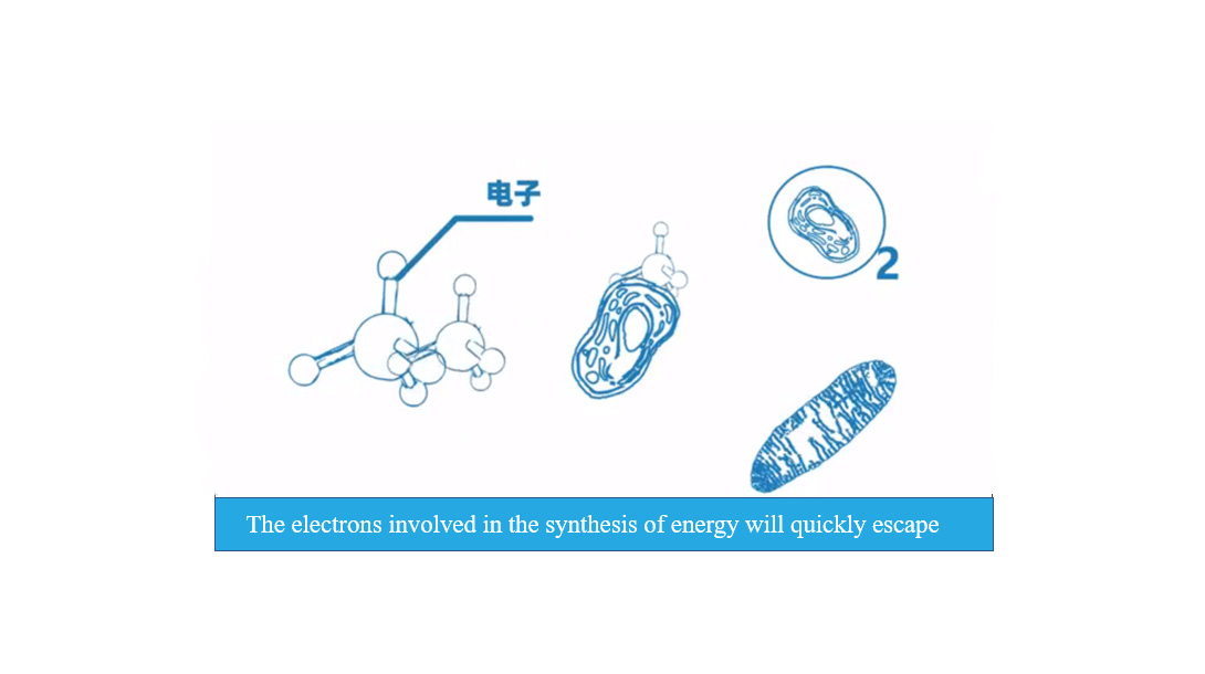 Cancer and Oxygen-4